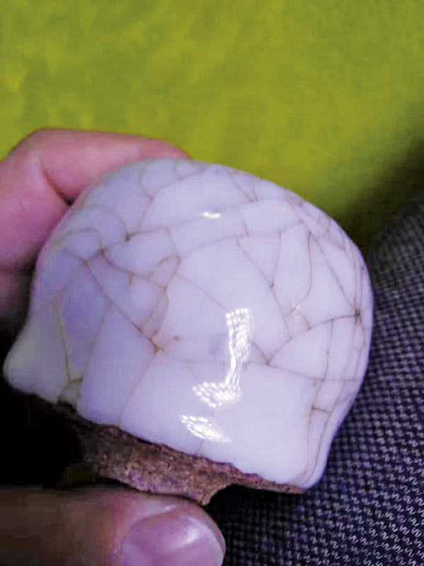 ��Ū�̭n�Dų�w������