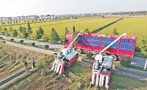 ���Ϭ����ξ��N�_�\��e�ܥ��Y���d���A�ǳưe���[�u�t�i��M���B�z�C ��ƹϤ�