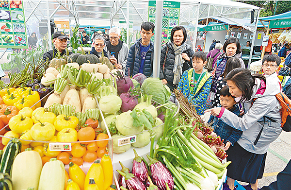 ���O370���u��i�P���a���A���~�C �篪�U  ��