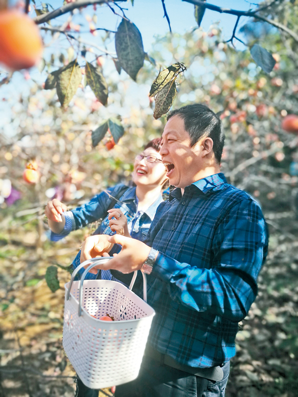 ���b�B���@�P�u�G�{�ѾP�v���a�ʤU�A���̨ͭ��X�줽�ǡA�Ө�ж��a�Y����A�֡C �O�̼B�� ��