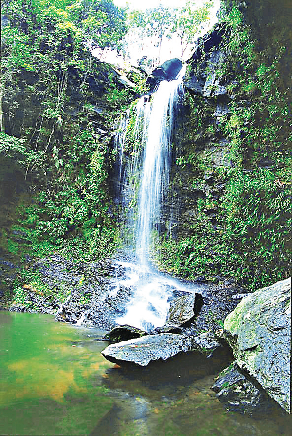 ���s�Q���r�������u���A�l�ޤ��֦�s�ͫe�ӤΡu�����v����C ��ƹϤ�