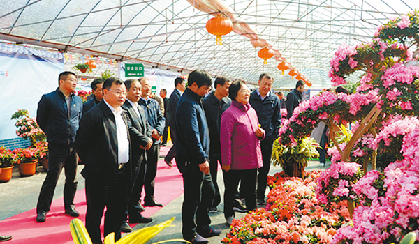 ������F��ҹ���[�ݯS���c��~�i�C  ��ƹϤ�