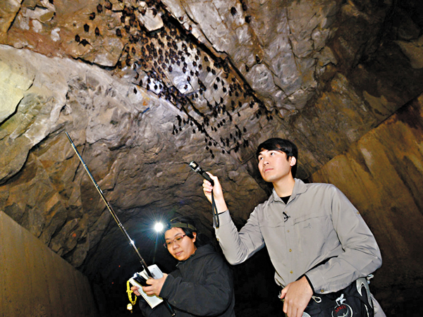 �������V�v�����ͺA�O�լd���I���@�A�լd���|�O�������Ϯ���m�ūסB��סB�P�}���Z���B�ƶq���G����ơC