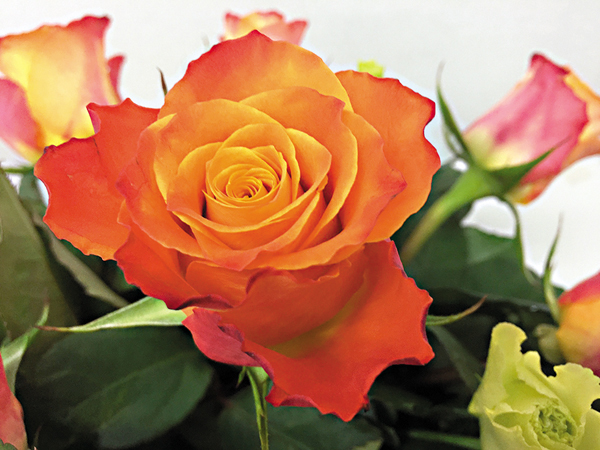 ����i�D�D��O�����A��m�}�ɡB����L���C