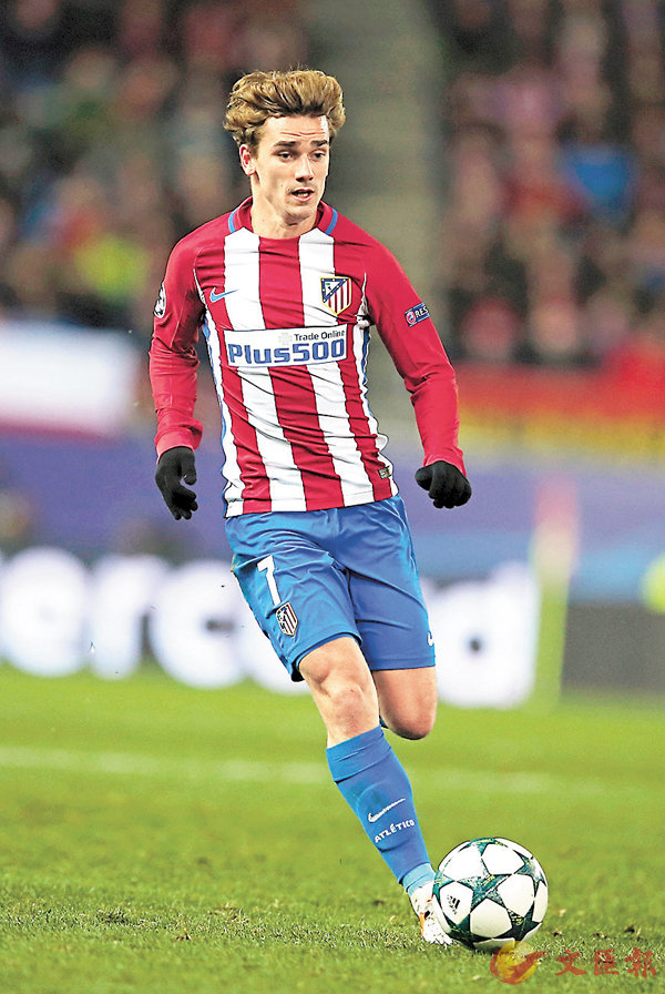 ������|�g���F��C ���p��