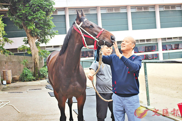 ���B�ӱj���A�u�ڰ򤧬P�v���W�A���ۤv�a�ӴL���A�u���g�_��|�|�A�A����N���A���C�v��§��  ��