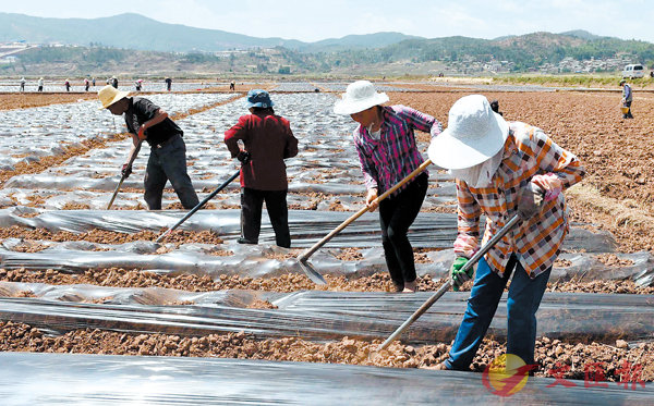 �����n�ٷ����U�ڦ۪v�{�j�O���s�A�@���u�}�~�ؤΰt�M��X�޳N�C �s�ت�