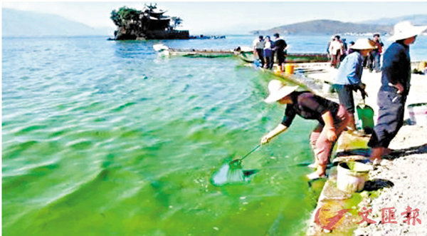 ���|����Ħ���w�A�ȴ̦���ݦ۶O�M�z�򭱡C ���W�Ϥ�