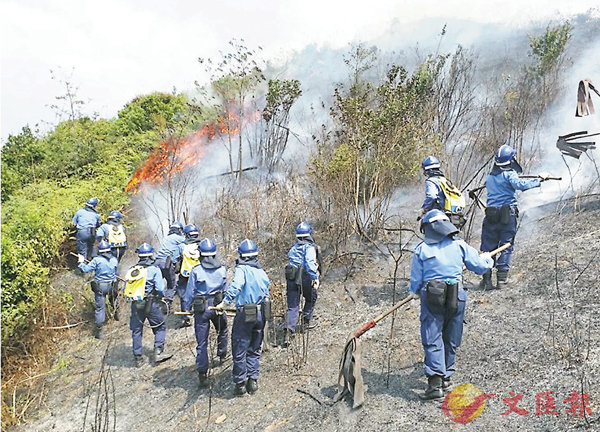 ���j����w������j�ŷ��a�����Ϥs���C