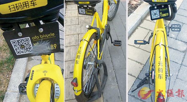 ���@�ɳ樮�Q�l�a�{�H���M�C   �O�̥��ھe  ��