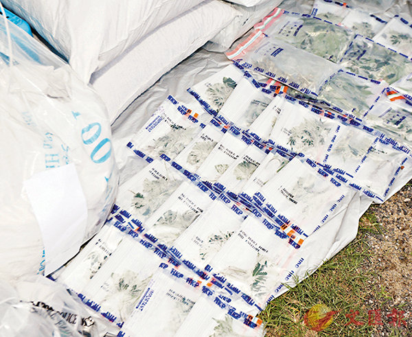 ��ĵ��I��j���`�ȼW�ܹO3,770�U���C