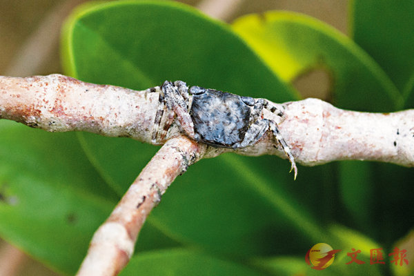 ���@���Ũ��k���ɥH���}�����K�C ��j�ӥj���v��Ǭ�s�Ҩѹ�