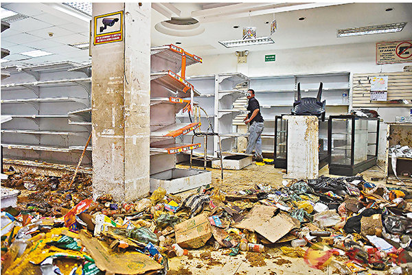 �����W���Q�m���A�l���G���C �k�s��