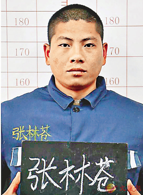 ���V���Ǳi�L�a�C ���W�Ϥ�