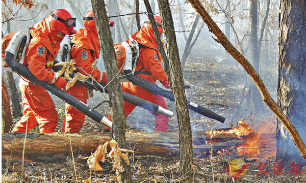 ���Zĵ���X�j�j���w���˪L�䶤�x�L��e�b���ϴ˪L���a�C �s�ت�