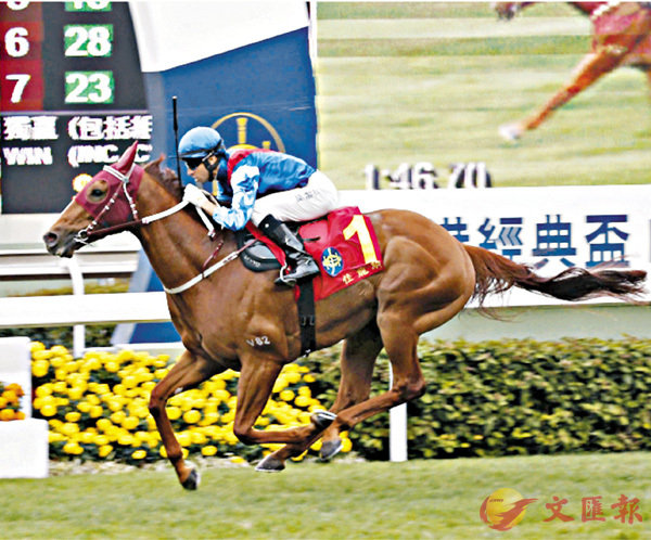 ���u���s�s�v�����C���W�Ϥ�