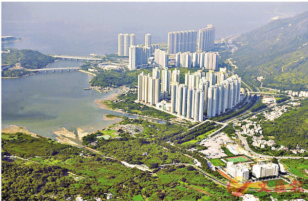 ���F�F�s���������C