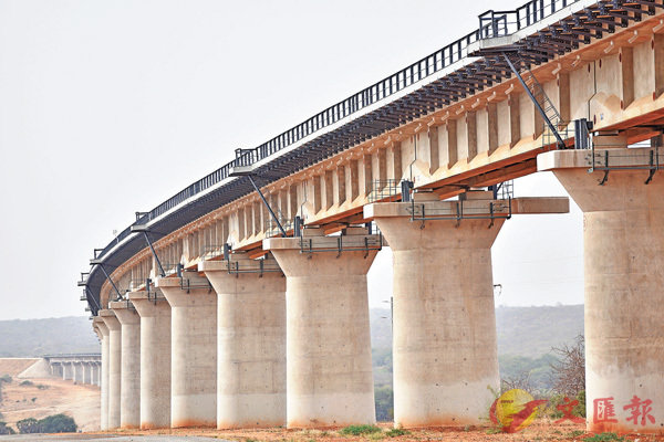 ���Ҽ{��C�~�D�w�����j���ʪ��E�p�A�X���K���u�u�S�O�]�m�F14�B�ʪ��q�D�C ��ƹϤ�