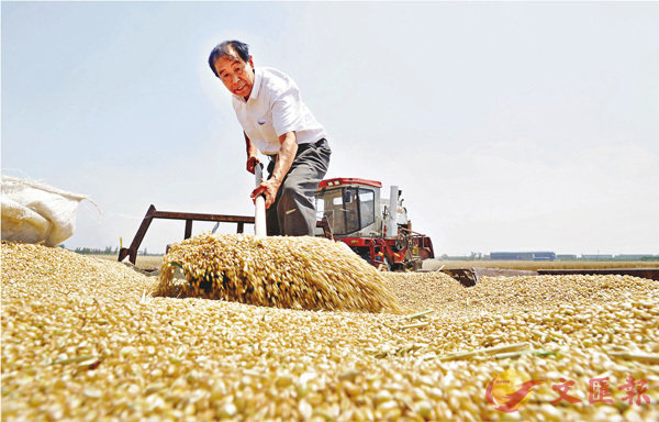 ���ڹA�~���o�G���H����ܡA�ثe���a�L���p����ì�w�W�C���C�Ϭ��e�_�n�ֿ����X�a���A���b��z��ì���p���C �s�ت�