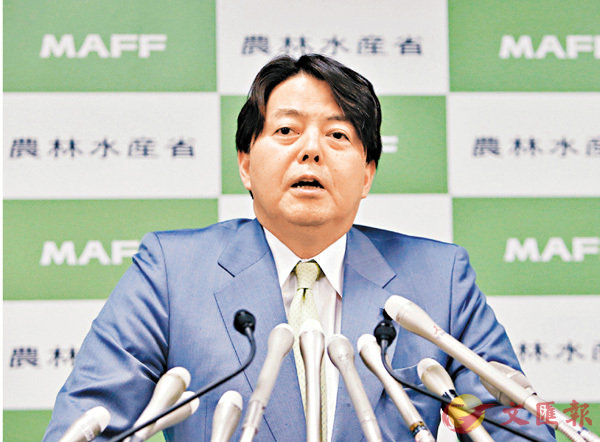 ���L�ڥ��P�������Y�}�n�C ��ƹϤ�