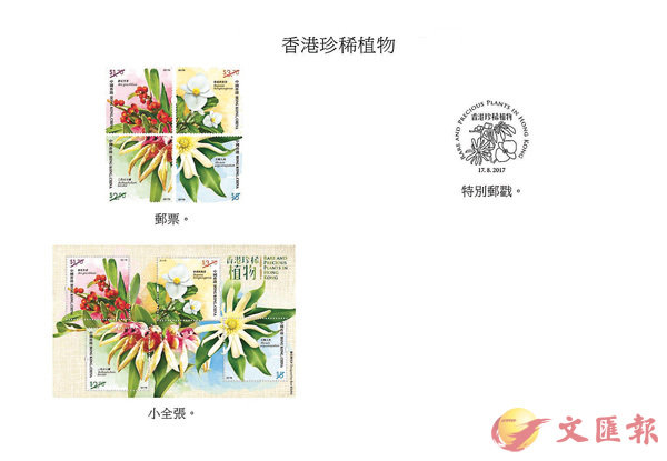 ���H�u����õ}�Ӫ��v���D���l���B�p���i�M�S�O�l�W�C