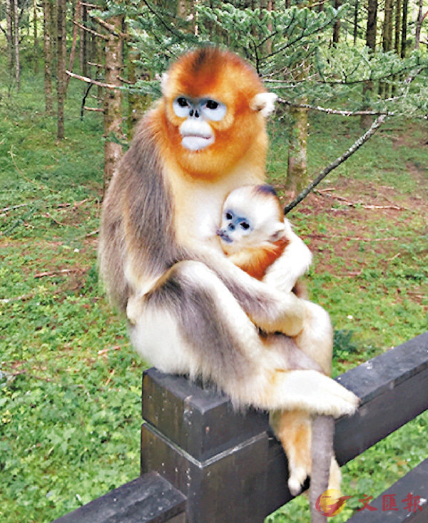 �����a������U�O�|�ΪL�ϥͺA�O�@���F�ܦh�ӽo�u�@�C