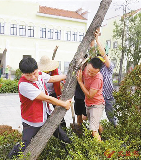 �X�O�߾�   ���W�Ϥ�