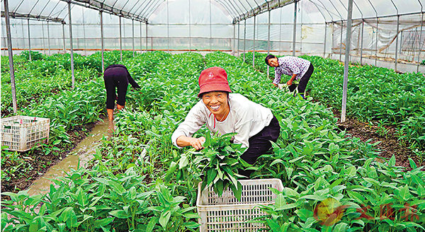 ���Ҥ����P�O��T�O�u�~���u�աv�૬���G�����@�ɡC�Ϭ�����٫n�׿��޾ɹA���o�i�S��ͺA�A�~�A�a�A���W���P�I�C ��ƹϤ�