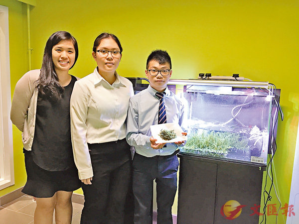 ■張誼靜（左）帶領同學用一年時間研究海葡萄養殖系統。 香港文匯報記者柴婧 攝