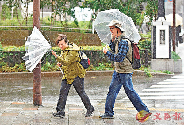 ������_�j���B�������벼�C �k�s��