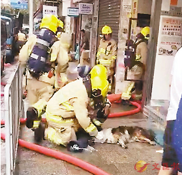 �����������g���Ϫ��Y����ϡC ���W�Ϥ�