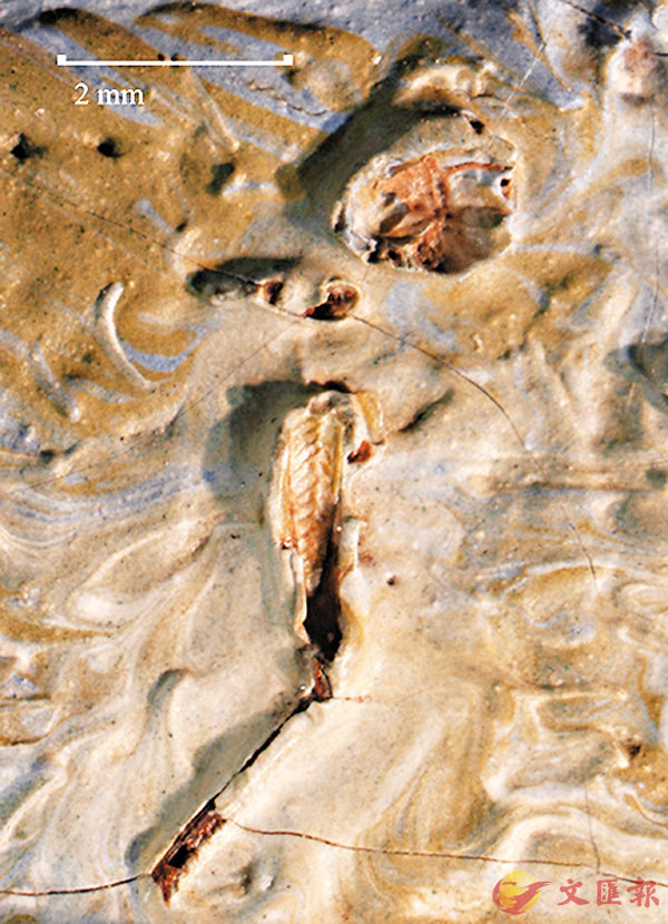 ����j��U����g��