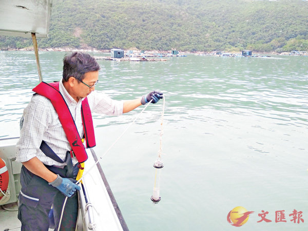 �����@�p�H�������q�����i�ްϩ�����˥��C