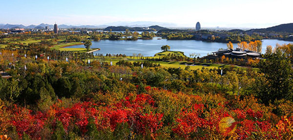 �ͺA�ܽd�ϥ���