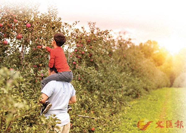 lPh۵Mm@ɿˤlɶA]TPCɻܡC  ׳O̭JY 