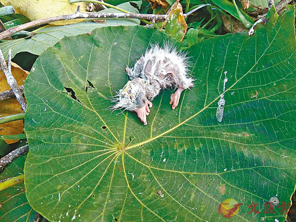 ���d��p�b�j�H�O���L�i��׾�u�{�A�P���h�O���_�����a�W�A�ܤ֦�3�������Z�a��͡A���������n�H�D�����C ��ƹϤ�