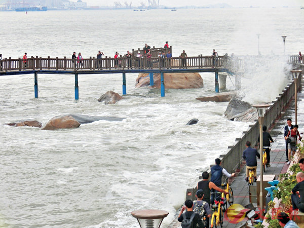 �������P�b�H�����q���A�q�����P�̻����a��B��e������ݮ���C