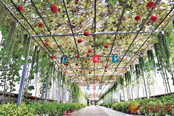 ���s�����[���A�~�o�i����o�ѿW�p�C�����׳����ǯu