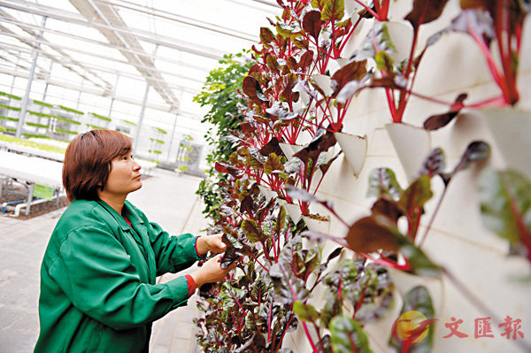 ���u����A��v�~�P���ȹF��661.9�����C�Ϭ��u�@�H���b����{�N�A�~�зs��L�g�������ūǤ��d�ݽ���ͪ����p�C ��ƹϤ�