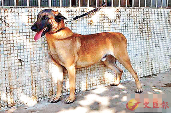 ���s�Fĵ���ذe������ĵ�誺ĵ���Q��w���Q���C ���W�Ϥ�