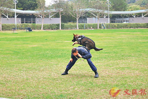 �����ޤ��V�m�ܽd�C�����׳��O�̲�§��  ��