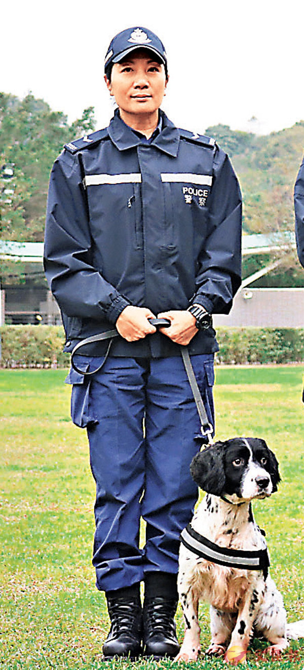 ���O�z�«��V�m�j�����̭��n�O�P����y�C�����׳��O�̲�§��  ��