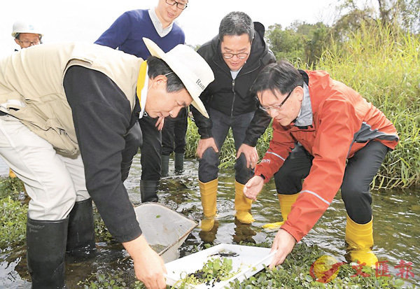 ���e�ѥͳդh�]���^�V�������]�k�G�^�έ���E�]�k�@�^���Э����s�`�C���x�Ϥ�