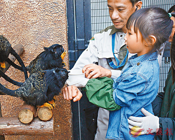 ���ʪ��V�m����ĳ�������}�ɤ��n�Ӻ�i�A�̷ӰV�m�����������}�K�i�C �����׳��O�̼B���v  ��