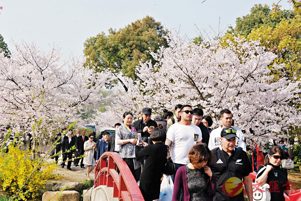 �����~�C�Ȧb�L����Y�Z�[�����C�����׳��O�̶P�P�� ��