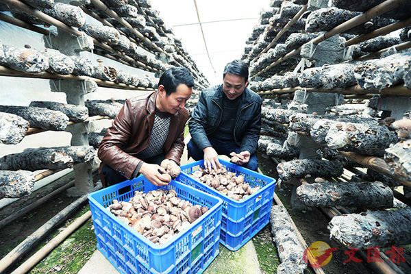 �A��Ĩ��u�S�ⶵ��+�A��v�Uۣ�A�o�i