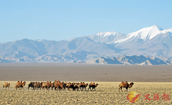 ���³s�s��a�Ŧ۵M�O�@�ϥͺA���Ұ��D�@�ݳd100�H�C�Ϭ��³s�s�C��ƹϤ�