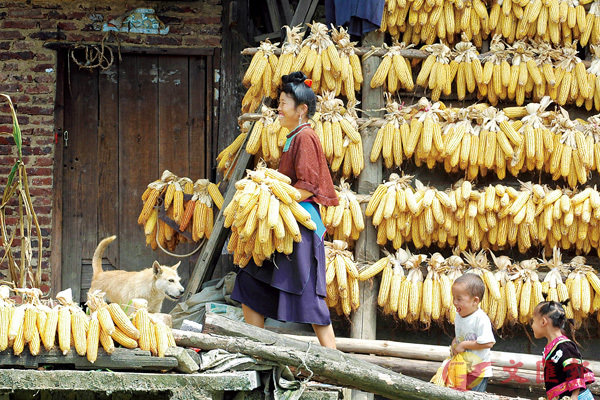 ���Q�{���뿤�����b���Υɦ̡C  �s�ت�