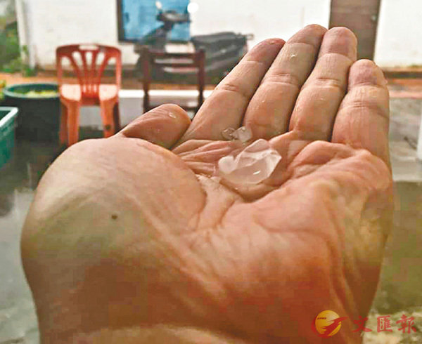 �����q��q�Q��ıߥX�{�ɫB���a���p�M�B�r�A�m�����ܬO50�~�ӭ��{�C ������