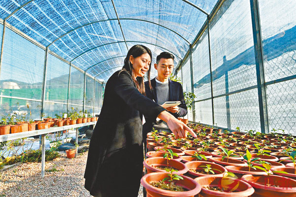 ����A���]���^�M�\�����]�k�^�O��ȸp��Үv�A�t�d��ƴ�ȳ]�I�C